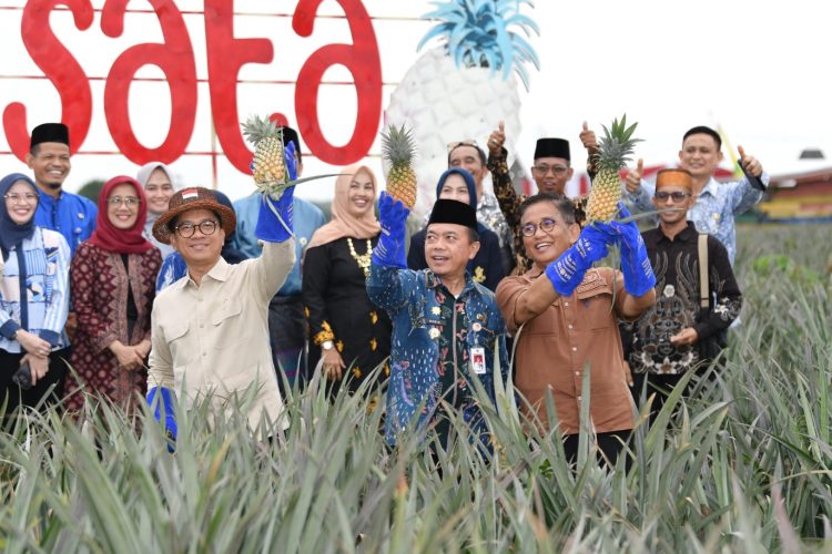 Menteri Desa PDT Bakal Ekspor Nanas asal Muaro Jambi ke Eropa