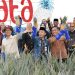 Menteri Desa PDT Bakal Ekspor Nanas asal Muaro Jambi ke Eropa
