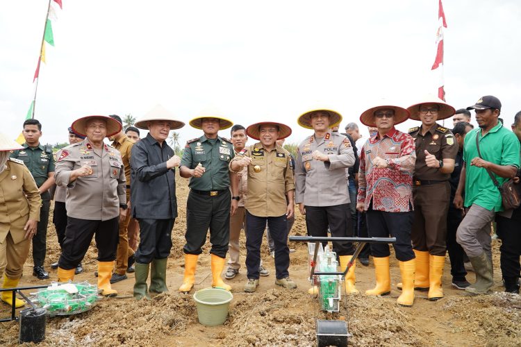 Gubernur Al Haris, Kapolda, Danrem 042 Gapu dan Forkopimda Lakukan Penanaman Bibit Jagung Dukung Swasembada Pangan