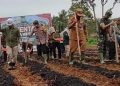 Pj Bupati Merangin dan Kapolres Tanam Jagung Serentak Percepat Swasembada Pangan 2025Â