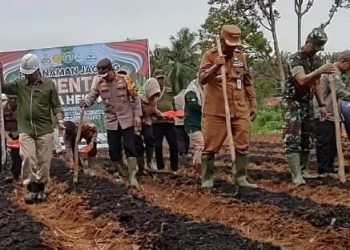 Pj Bupati Merangin dan Kapolres Tanam Jagung Serentak Percepat Swasembada Pangan 2025