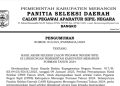 252 Peserta Lulus Seleksi CPNS Tenaga Tehnis Kabupaten Merangin 2024, Masa sanggah sampai 15 Januari 2025