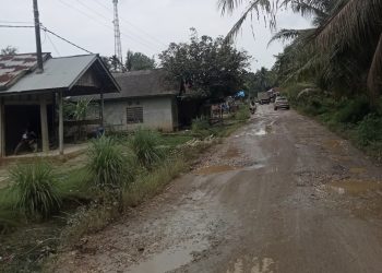 Pengendara Keluhkan Jalan dari Desa Beluran Panjang sampai Desa Rantau Limau Manis Kecamatan Tabir Ilir Merangin Rusak