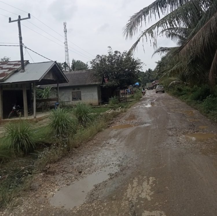 Pengendara Keluhkan Jalan dari Desa Beluran Panjang sampai Desa Rantau Limau Manis Kecamatan Tabir Ilir Merangin Rusak