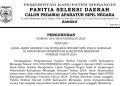 Panselda Seleksi CPNS Kabupaten Merangin 2024 Umumkan Hasil Akhir Peserta Lulus Seleksi Pasca Sanggah