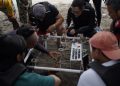 Dukung Pencapaian SDGs, Pertamina Hulu Indonesia Gelar Aksi Pelestarian Terumbu Karang
