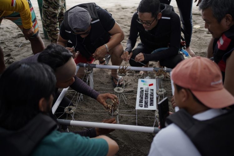 Dukung Pencapaian SDGs, Pertamina Hulu Indonesia Gelar Aksi Pelestarian Terumbu Karang