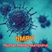 Wabah Virus HMPV Merebak di China, Kemenkes Imbau Masyarakat Waspada