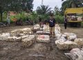 Harga Getah Karet di Kabupaten Merangin Naik, Ini Harapan Petani dan Tengkulak