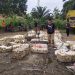 Harga Getah Karet di Kabupaten Merangin Naik, Ini Harapan Petani dan Tengkulak