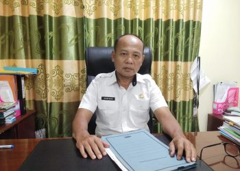 Dinas LIngkungan Hidup Merangin akan Bangun Ruang Terbuka Hijau