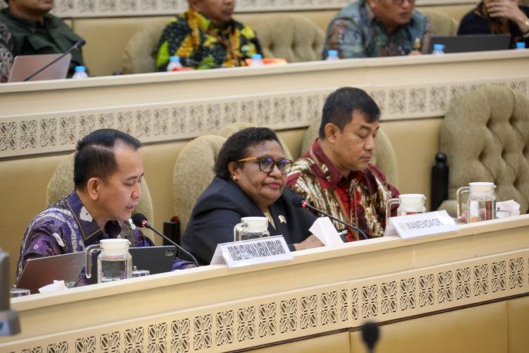 Wamendagri Ribka Jelaskan Upaya Kemendagri Awasi Pengelolaan Keuangan Daerah