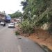 Diguyur Hujan Deras, Tanah dari Tebing Bukit Tiung Merangin Longsor ke Jalan, Masyarakat Minta Segera dibersihkan
