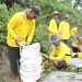 Sukses Panen Jagung dan Tomat, Petani Binaan Pertamina EP Jambi Field Siap Garap Lahan yang Lebih Luas
