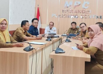 Indeks Perkembangan Harga di Kabupaten Merangin Turun Diangka -2,50