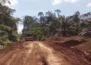 Dengan Swadaya, Pemdes Rantau Limau Manis Kecamatan Tabir Ilir Merangin Perbaiki Jalan Rusak Menuju Desa TetanggaÂ