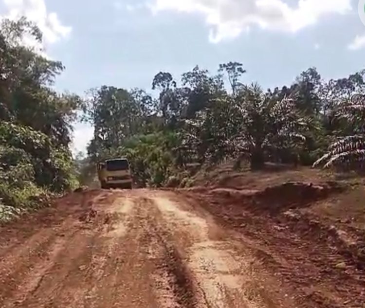 Dengan Swadaya, Pemdes Rantau Limau Manis Kecamatan Tabir Ilir Merangin Perbaiki Jalan Rusak Menuju Desa Tetangga