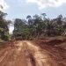 Dengan Swadaya, Pemdes Rantau Limau Manis Kecamatan Tabir Ilir Merangin Perbaiki Jalan Rusak Menuju Desa Tetangga