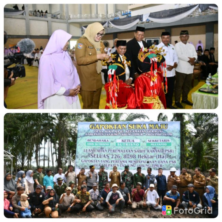Bupati Dillah Hadiri Wisuda 220 Tahfidz Qur’an dan Penanaman Peremajaan Sawit Rakyat