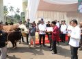 Idul Adha 1446 H, Kejaksaan Agung Serahkan Hewan Korban 37 ekor Sapi, 9 ekor Kambing dan 1 ekor Domba
