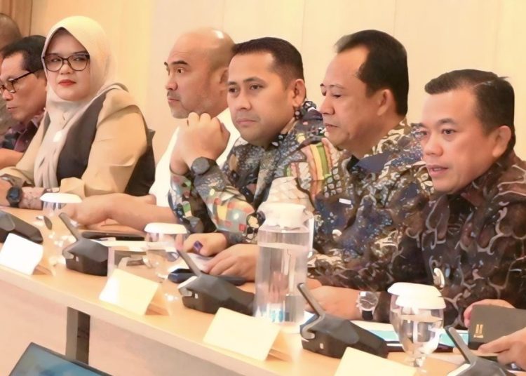 Bersama Gubernur Jambi, Bupati Merangin Audensi dengan Menkes RI Dorong Puskesmas Jadi Rumah Sakit Type D