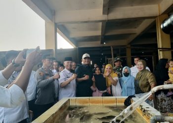 Bupati Sarolangun H.Hurmin Sidak Pasar Singkut