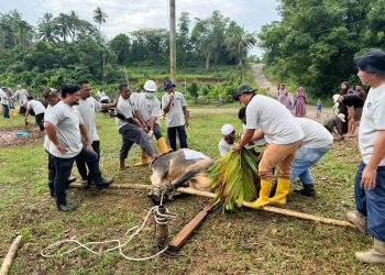 PHR Zona 1 Rayakan Idul Adha 1446 H dengan Semangat Berbagi dan Kebersamaan