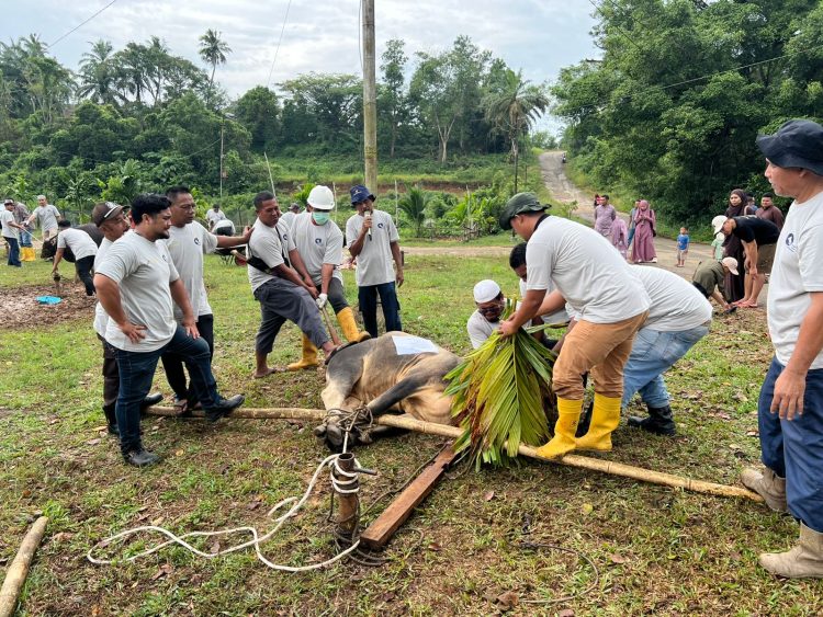 PHR Zona 1 Rayakan Idul Adha 1446 H dengan Semangat Berbagi dan Kebersamaan