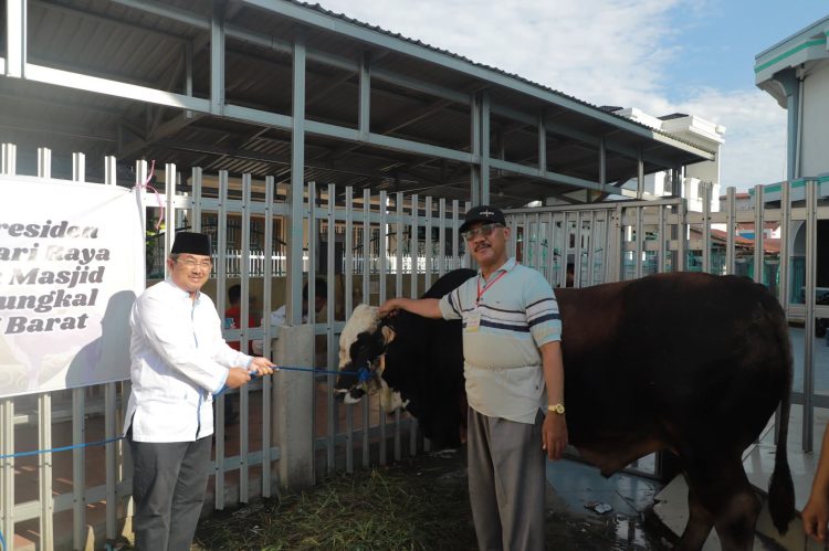 Presiden RI Salurkan Sapi Kurban, Bupati Anwar Sadat Serahkan ke Masjid Agung Al-Istiqomah