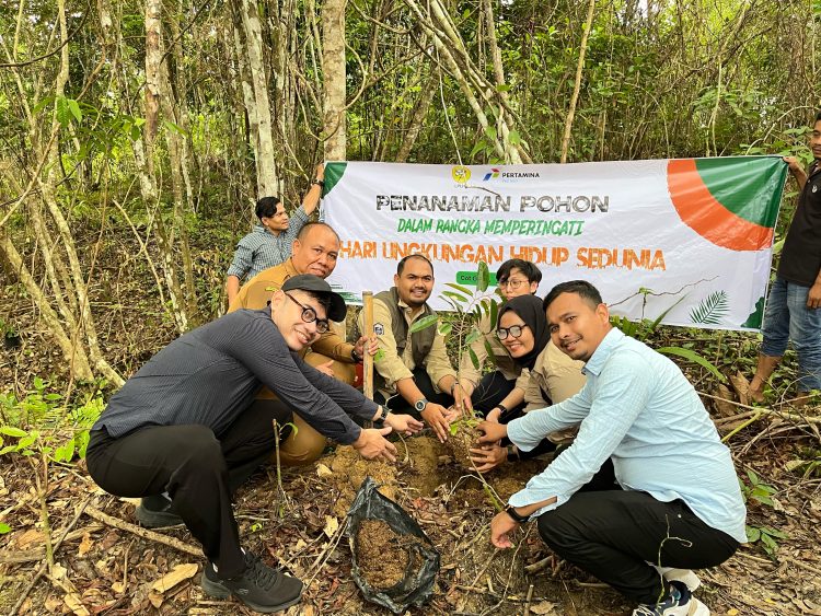 Peringati Hari Lingkungan Hidup Sedunia, PHR Zona 1 Tanam Lebih dari 4.000 Pohon