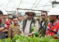 Gubernur Al Haris Dampingi Wamen LHK Tinjau PT WKS dan Manggala Agni Jambi