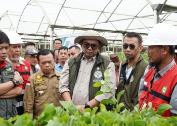Gubernur Al Haris Dampingi Wamen LHK Tinjau PT WKS dan Manggala Agni Jambi