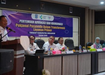 Wakil Bupati Merangin : Kini Posyandu Lakukan Pemberdayaan Masyarakat