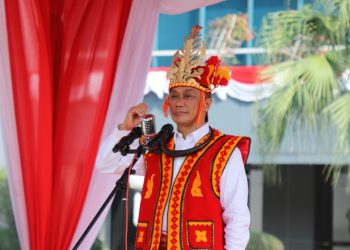 BKN Berikan Kenaikan Pangkat Luar Biasa Bidan Dona Dinas di UPT Puskesmas Simpang Tonang Kabupaten Pasaman