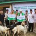 Bupati Anwar Sadat Hadiri Maulid Nabi di Muara Papalik, Tekankan Makna Syiar Islam dalam Kehidupan