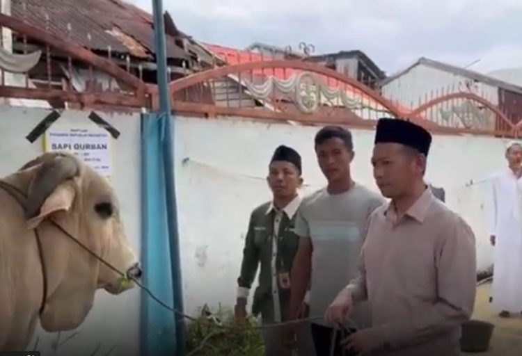 Wabup Tanjabtim Serahkan Hewan Kurban Bantuan Presiden di Kecamatan Mendahara