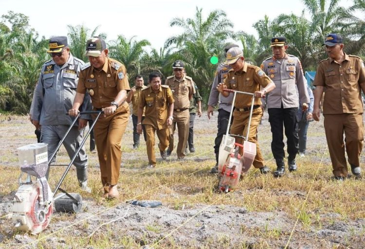 Bupati Merangin, Unsur Forkompinda dan Plt Kadis Tanaman Pangan dan Holtikultura Tanam Jagung di Desa Mentawak