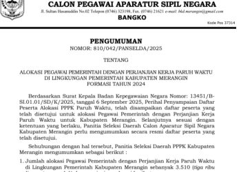 Panselda PPPK Paruh Waktu 2024 Kabupaten Merangin Umumkan Jumlah Alokasi, Daftar Nama dan Persyaratan yang Harus Dilengkapi