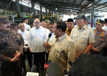 Jaksa Agung Laporkan Capaian Kinerja Satgas Penertiban Kawasan Hutan ke Presiden Prabowo Subianto
