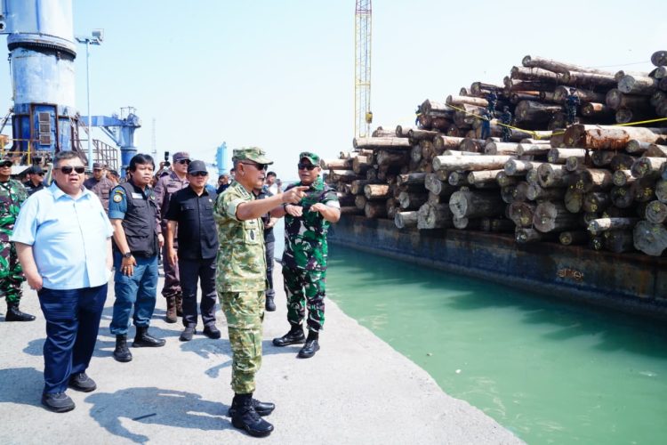 Kasum TNI Tinjau Keberhasilan Satgas PKH Amankan Ribuan Kubik Kayu Ilegal