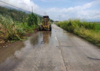 Antisipasi Laka, PUPR Provinsi Kembali Pangkas Rumput Liar di Bahu Jalan Kerinci
