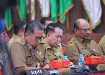 Dirjen Keuangan Daerah Fatoni Sebut Optimalisasi Pendapatan dan Efisiensi Belanja Jadi Kunci Pengelolaan Keuangan Daerah 