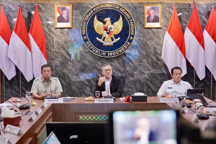 Kementerian ATR/BPN Percepat LP2B Guna Menekan Laju Alih Fungsi Sawah 