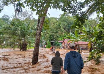 BNPB Terus Lakukan Penanganan Banjir di Provinsi Aceh, Sumatera Barat, dan Sumatera Utara 