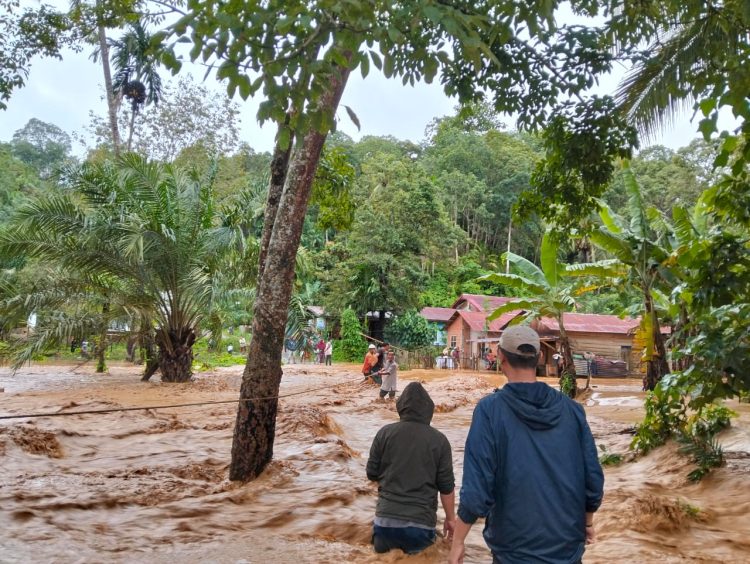 BNPB Terus Lakukan Penanganan Banjir di Provinsi Aceh, Sumatera Barat, dan Sumatera Utara