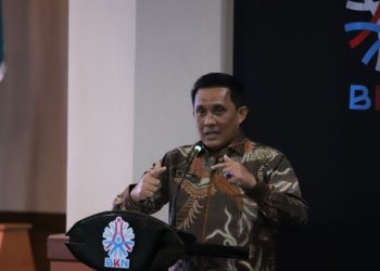 BKN Redesain Peran dan Kapasitas Jabatan Fungsional Manajemen ASN