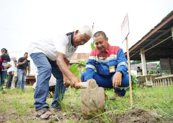 PHR Zona 1 Peringati Hari Menanam Pohon Indonesia di 3 Provinsi