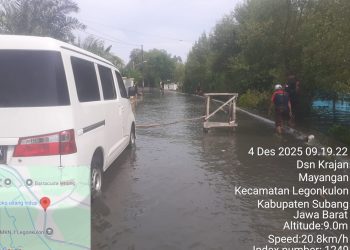 Banjir Juga Terjadi di Beberapa Daerah di Indonesia, BNPB Sampaikan Perkembangannya