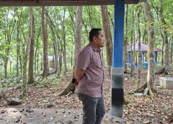 Siap Manjakan Penghujung, Bupati Merangin M.Syukur Tinjau Progres Perbaikan Obyek Wisata Arboretum Rio Alip 