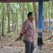 Siap Manjakan Penghujung, Bupati Merangin M.Syukur Tinjau Progres Perbaikan Obyek Wisata Arboretum Rio Alip